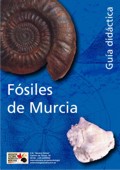 Gua Didctica, Fsiles de Murcia - Pulsar para abrir