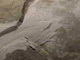 Fotografa de una de las formaciones en forma de abanico que pudieron ser labradas por agua. (Foto: \\\\\\\\