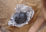Imagen de uno de los 47 fragmentos encontrados del meteorito. (Foto: NASA)