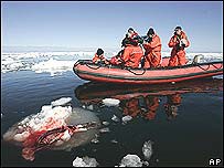 Lancha cazando focas en Canad