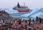 El Explorer cerca de Neko, en una colonia de pinguinos, antes de su hundimiento. (Foto: REUTERS)