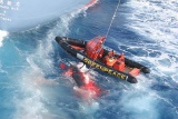 Activistas de Greenpeace quedan atrapados al tratar de defender a una ballena del santuario del Ocano Sur. (Foto: Kate Davison | Greenpeace)