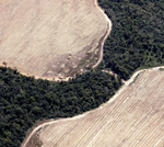 Vista area de la deforestacin en el Amazonas. | Reuters