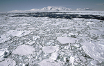Una imagen de la Antrtida. | British Antarctic Survey