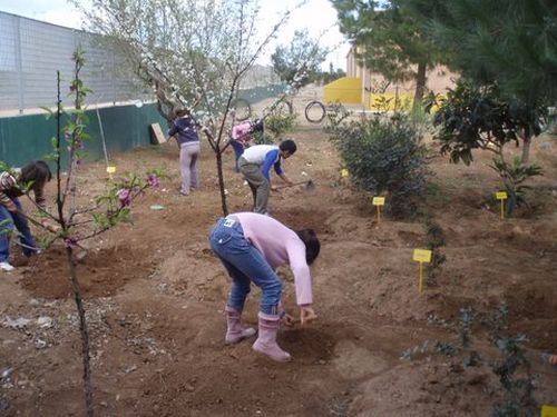 Proyecto Comenius "Our School Garden" en el CEIP La Asomada de Cartagena